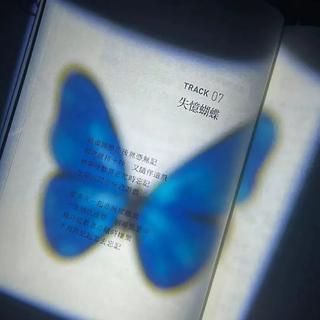 氛围感至上｜小说专属/纯音/英文宿命感BGM