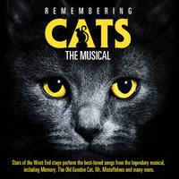 Macavity - Cats (karaoke)