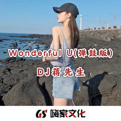 Wonderful U(弹鼓版)