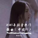 2023年抖音热门歌曲（中文DJ）