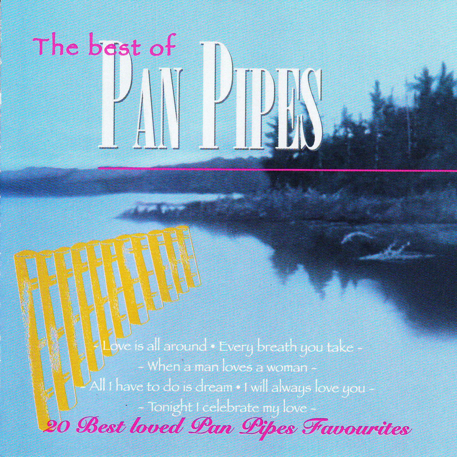 Dubble Trubble Tribute to the Best of Pan Pipes