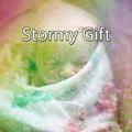 Stormy Gift