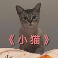 小猫（伴奏）