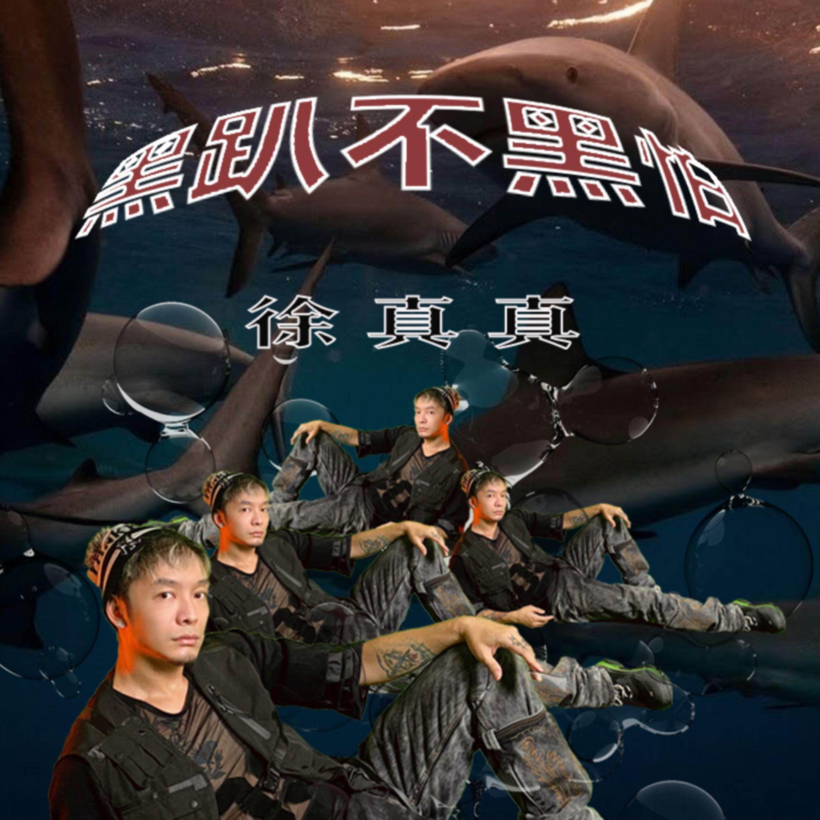 黑趴不黑怕