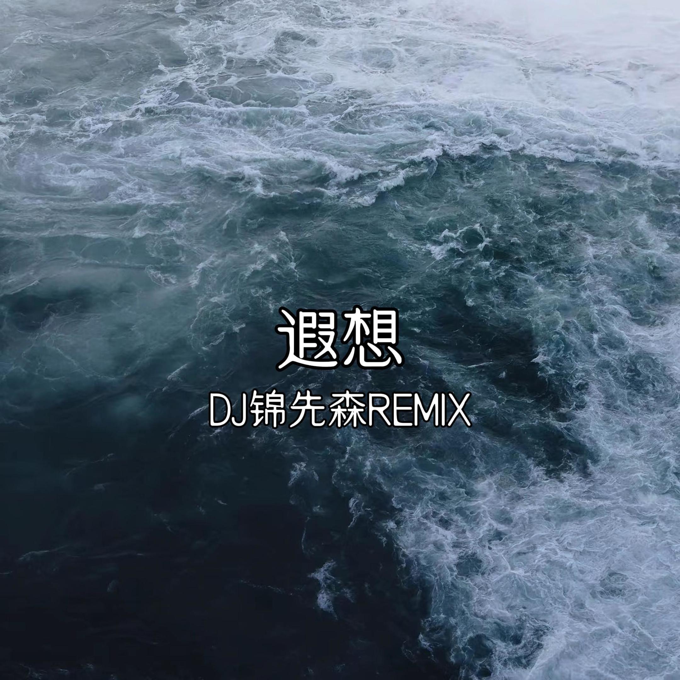 遐想（DJ锦先森 Remix）
