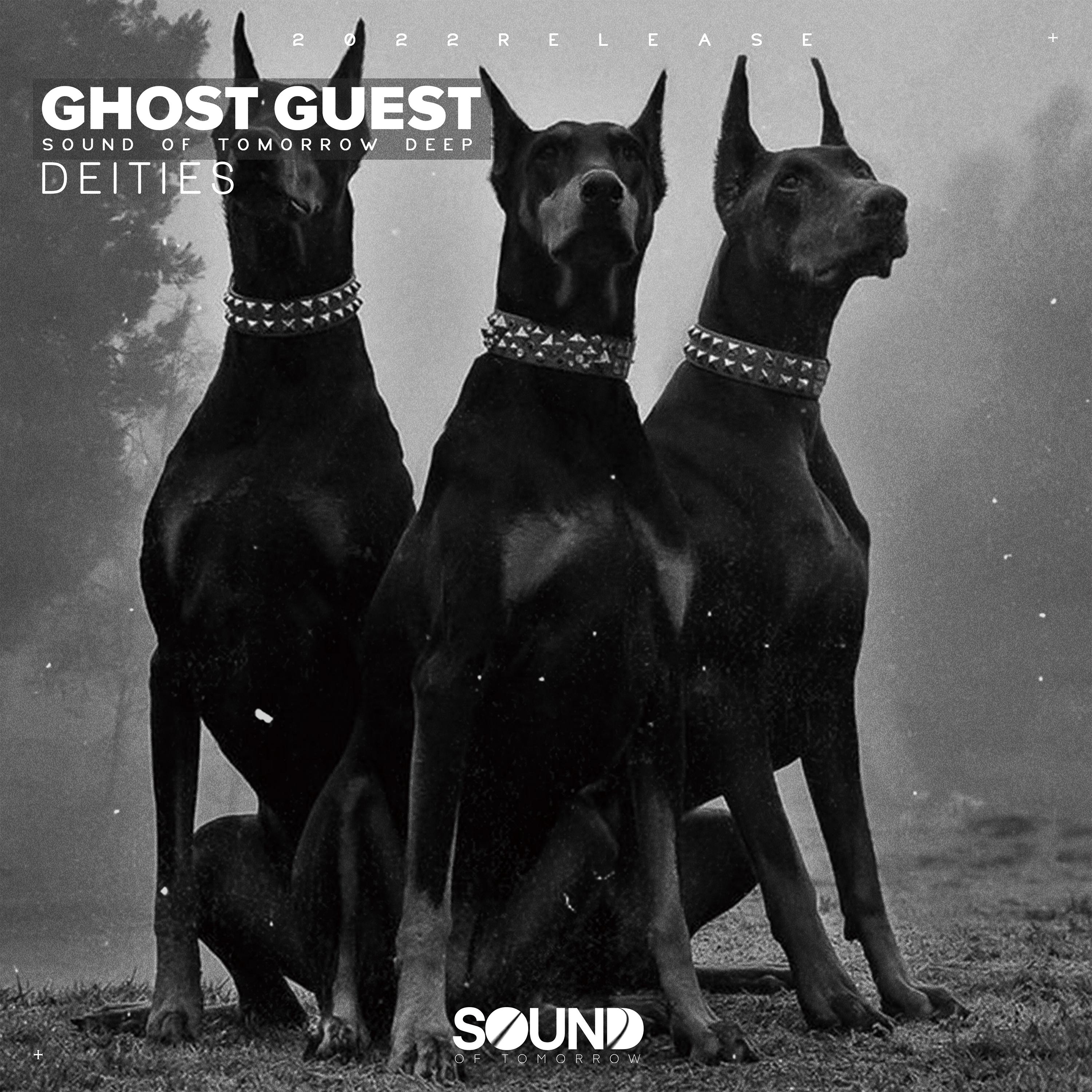 Ghost Guest