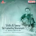 Violin & Veena - Sri Ganesha Sharanam