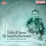 Violin & Veena - Sri Ganesha Sharanam专辑