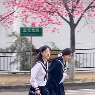 「三月你好」我在春日里等一场樱花盛开和你