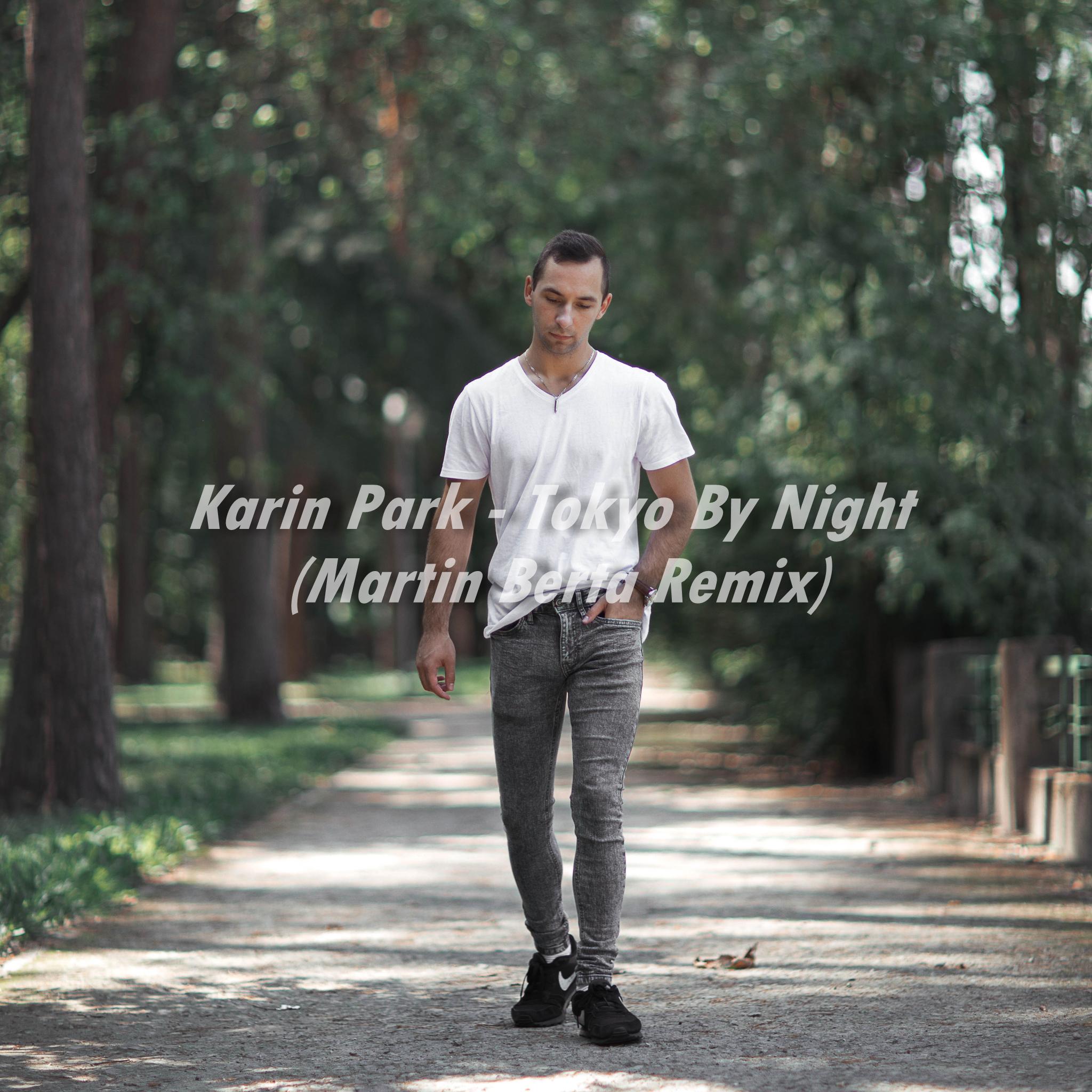 Tokyo by Night (Martin Berta Remix)