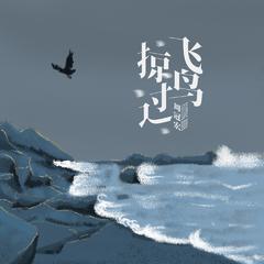 飞鸟掠过 (伴奏)