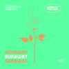 Night Tales - Runaway (Damaui Remix)