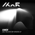 Are You into My Groove - EP