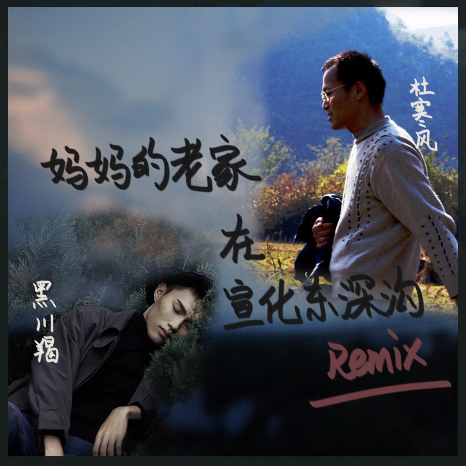 妈妈的老家在宣化东深沟(Remix)专辑