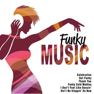 Play That Funky Music 示范