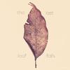 The Last Leaf Falls