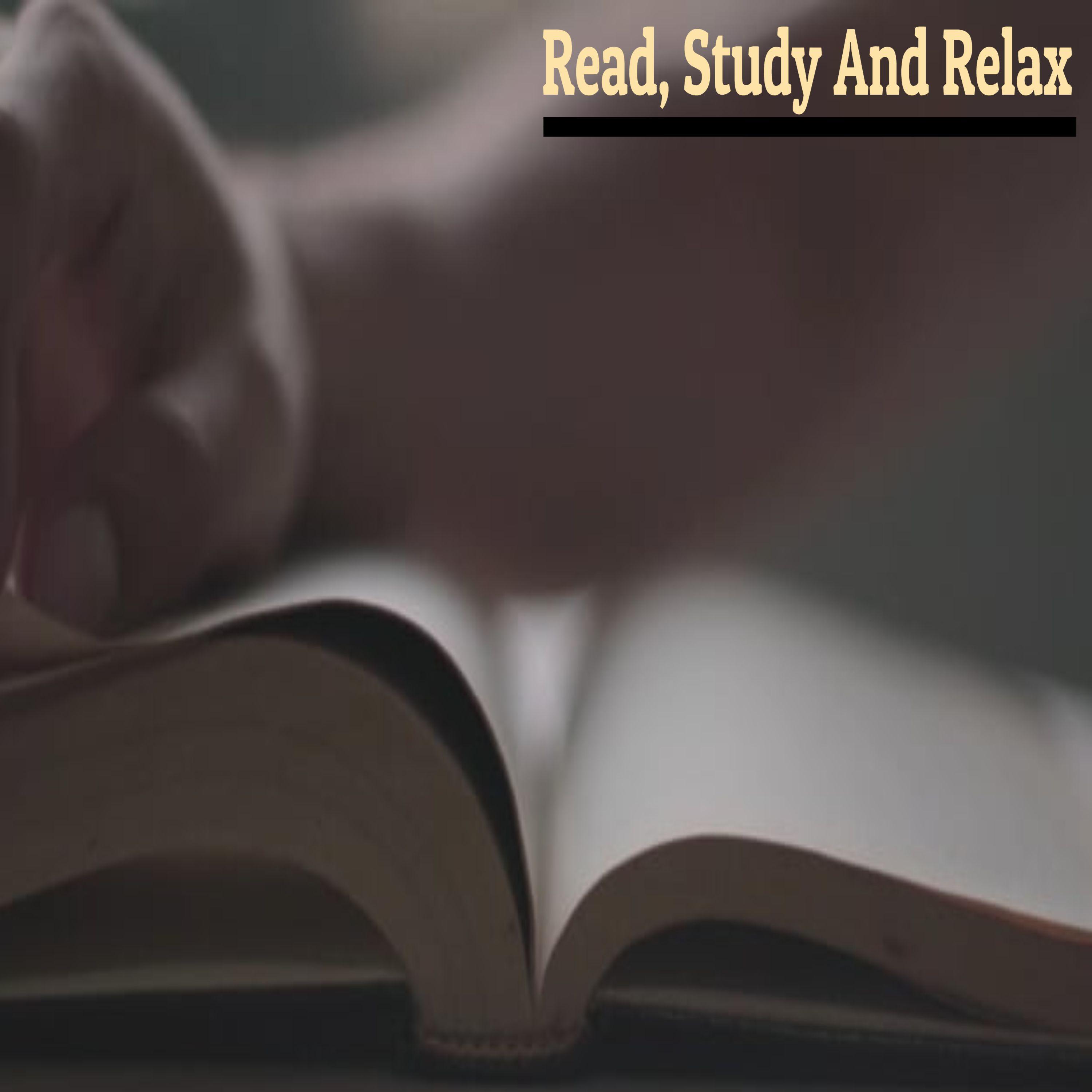 Increases Concentration