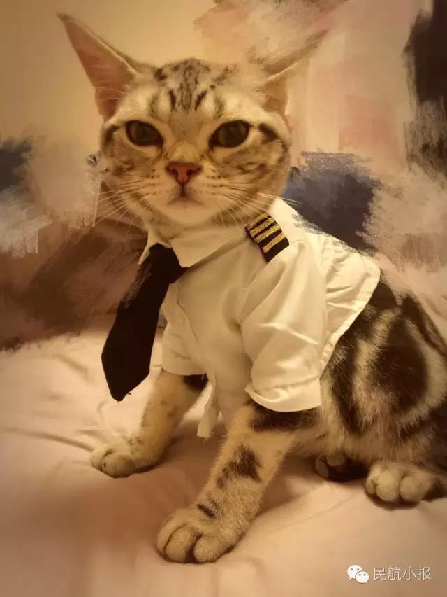 轮回者（翻自 满舒克）