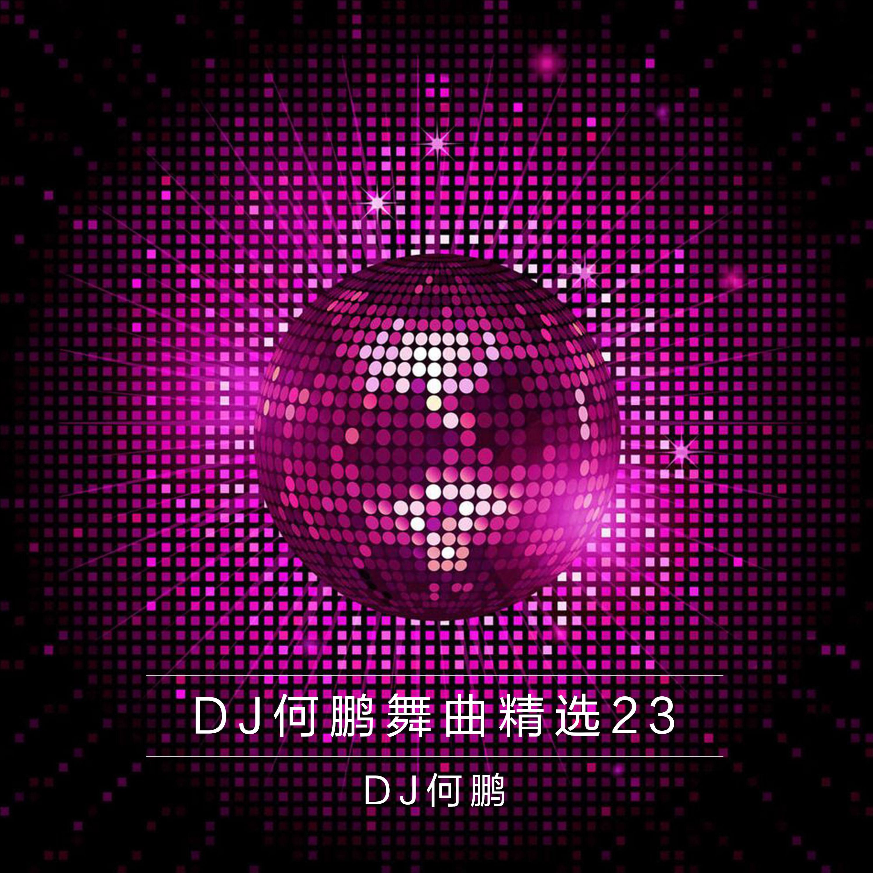 DJ何鹏舞曲精选集23专辑