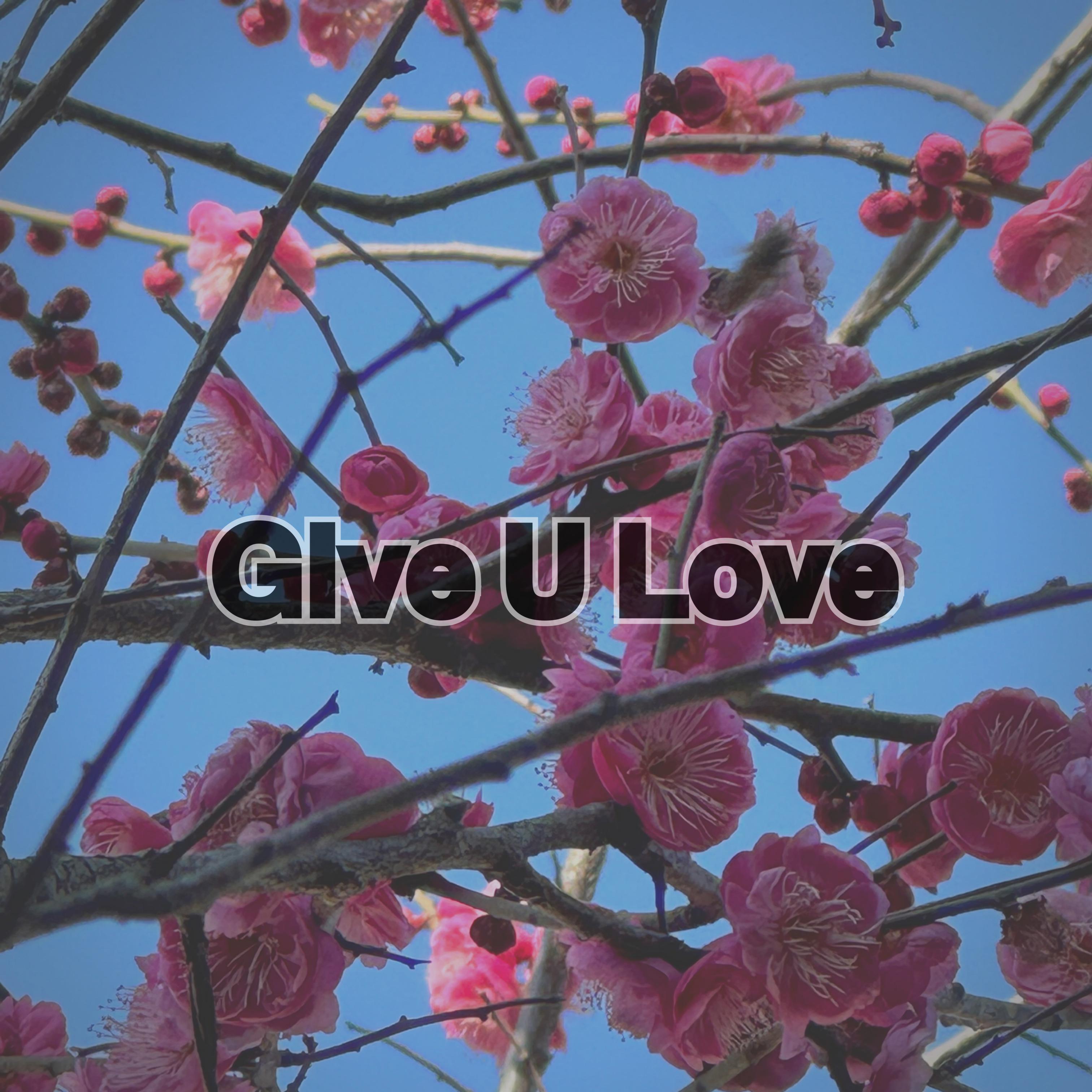 Give U Love