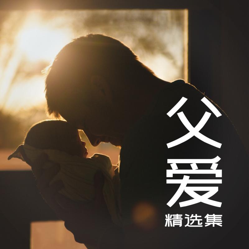 父爱精选集