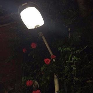 情绪药剂［TRAP/R&B/LOFI HIPHOP］