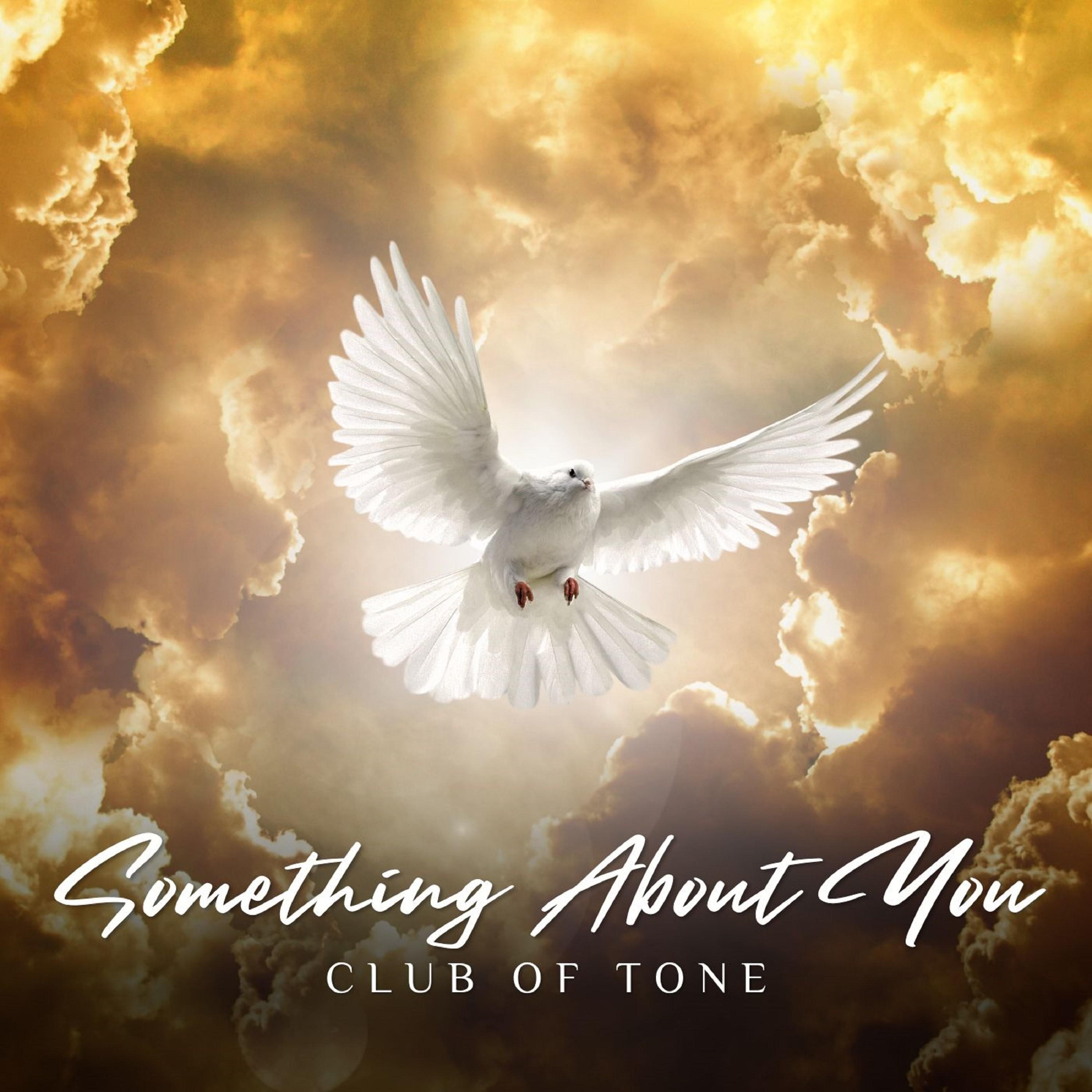Club of Tone - Something About You