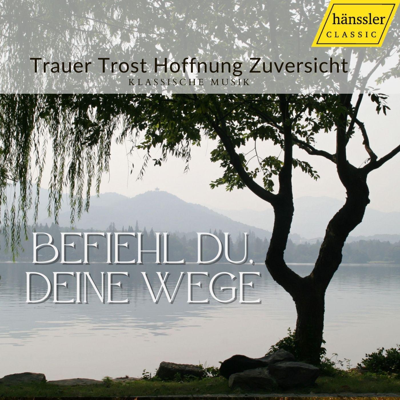 Christiane Oelze - St. Matthew Passion, BWV 244:Chorale. Befiehl du deine Wege (Chorus)