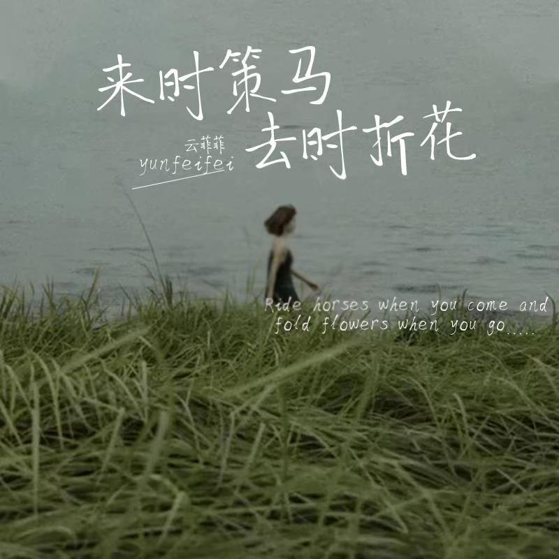 来时策马 去时折花