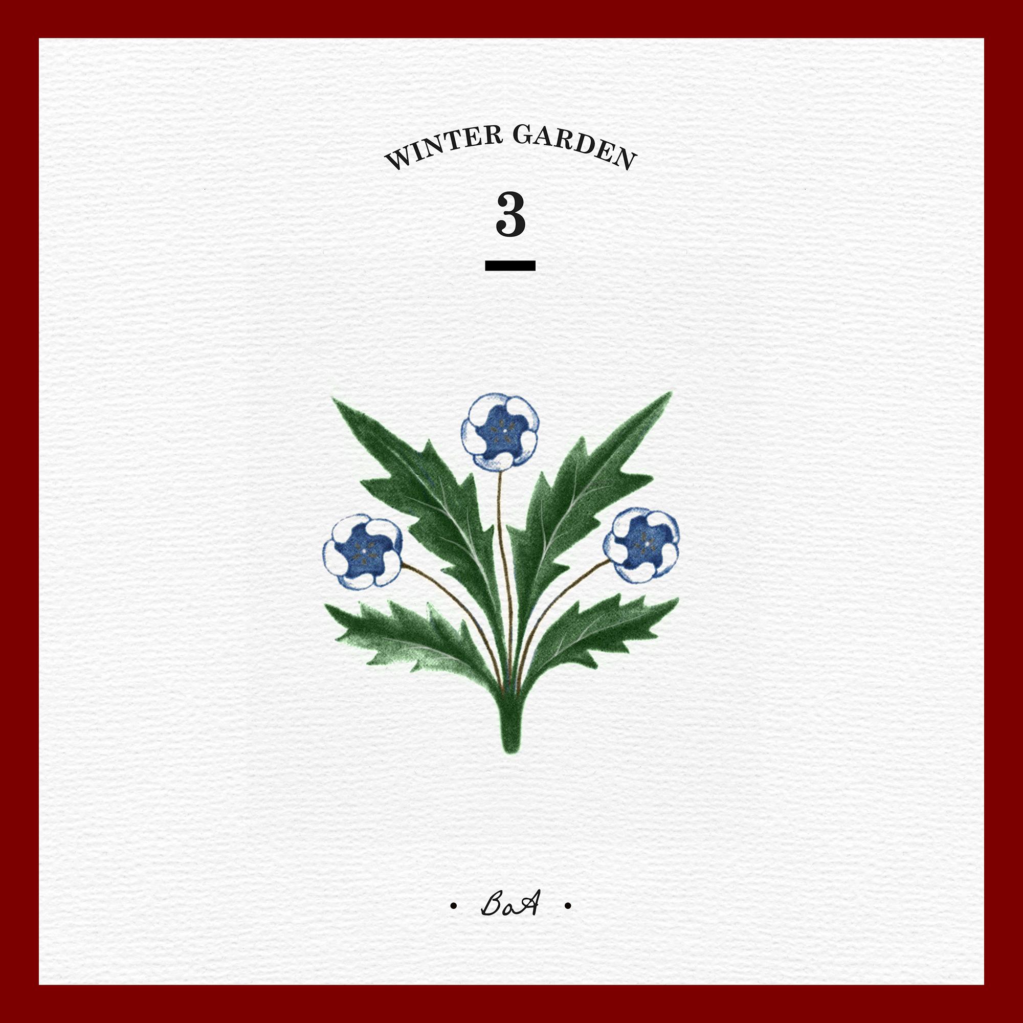 Christmas Paradise - WINTER GARDEN