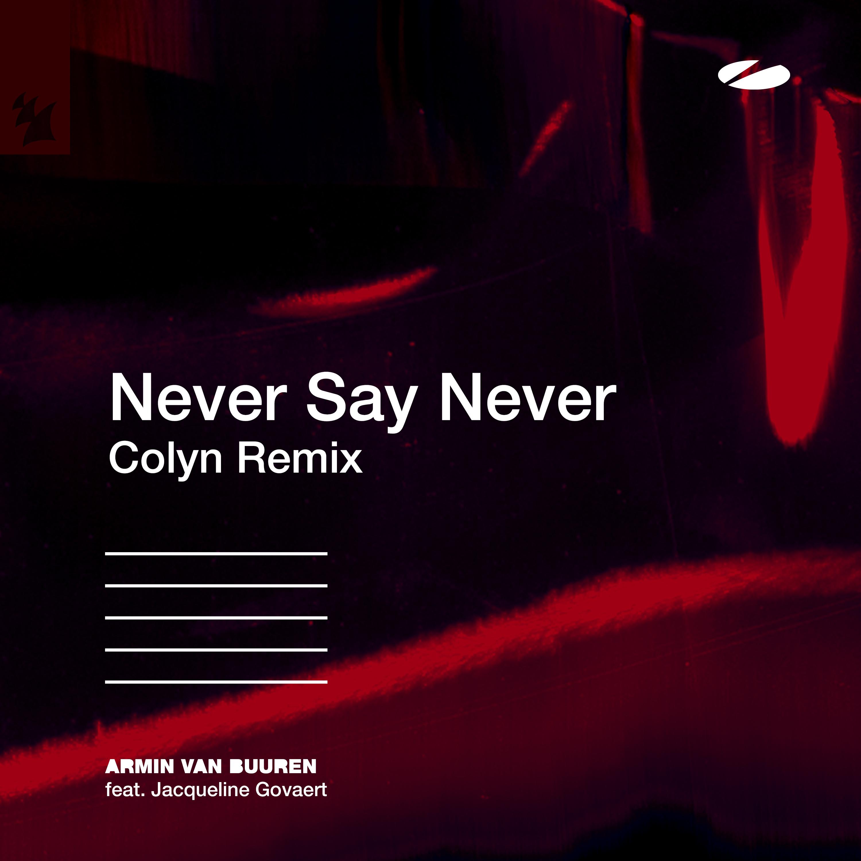 Armin van Buuren - Never Say Never