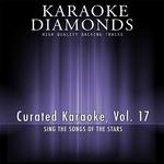 Curated Karaoke, Vol. 17专辑