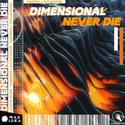 DIMENSIONAL NEVER DIE