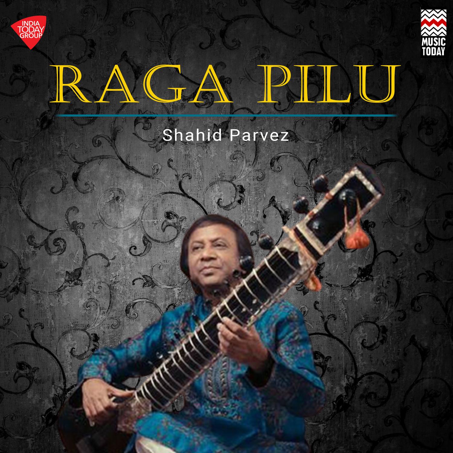 Raga Pilu (Shahid Parvez)