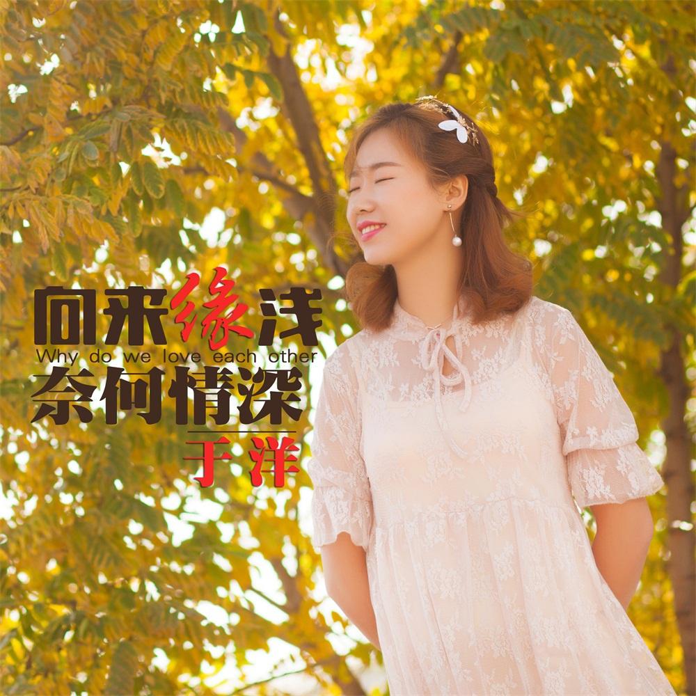 向来缘浅奈何情深专辑