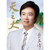 太极音乐加长版《真的好想你29:43