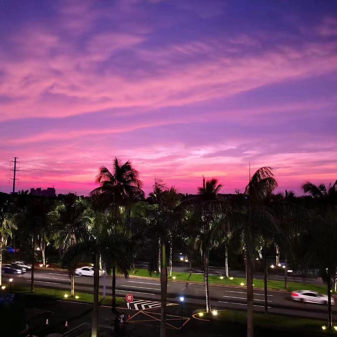 控诉（翻自 小乐哥）