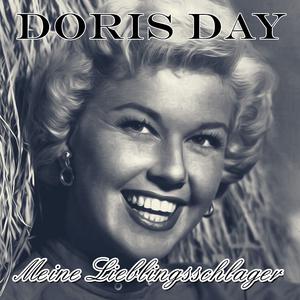Secret Love - Doris Day (SC karaoke) 带和声伴奏 （降2半音）