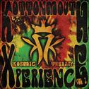 The Kottonmouth Xperience Vol. II