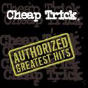 Authorized Greatest Hits专辑