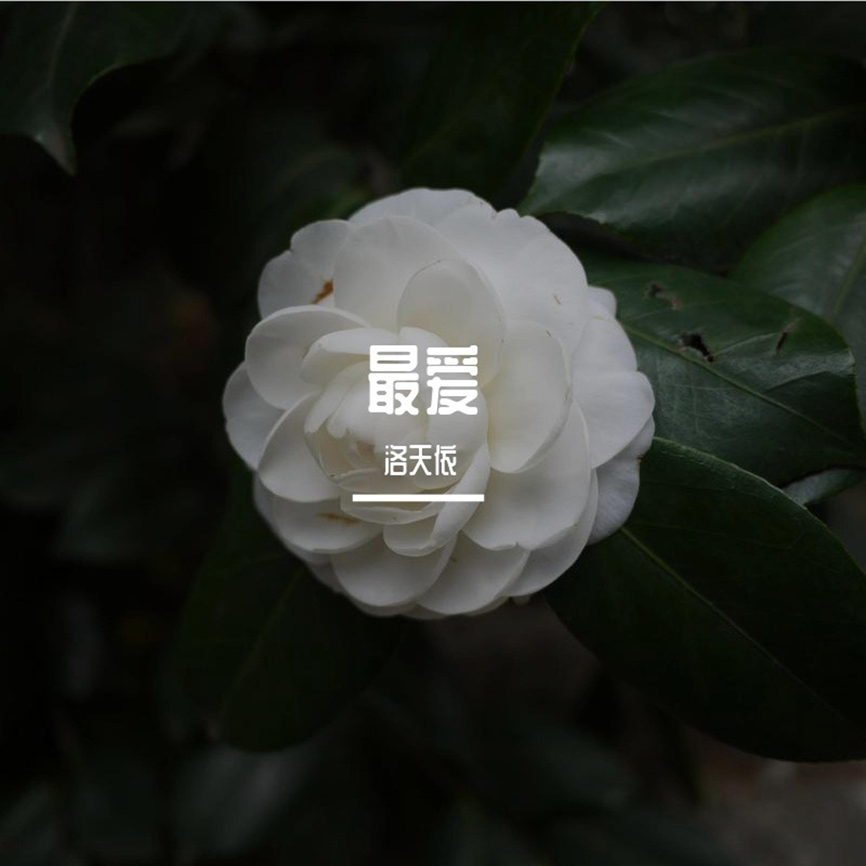 最爱