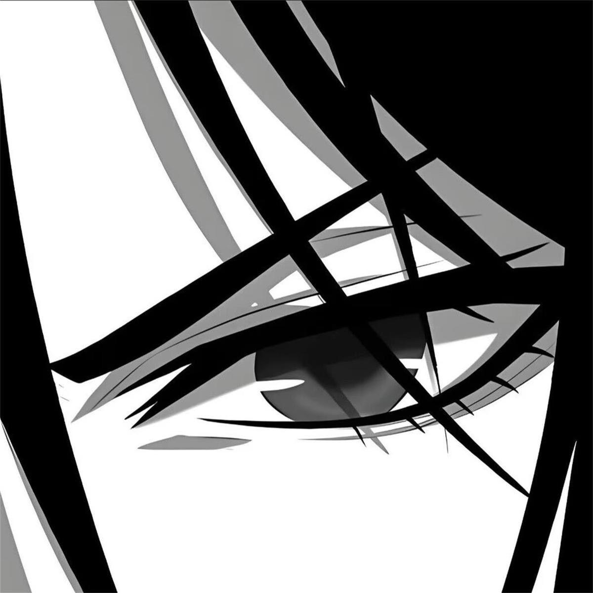 失眠（抖音热播）