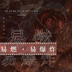 易燃易爆炸（cover：陈粒）