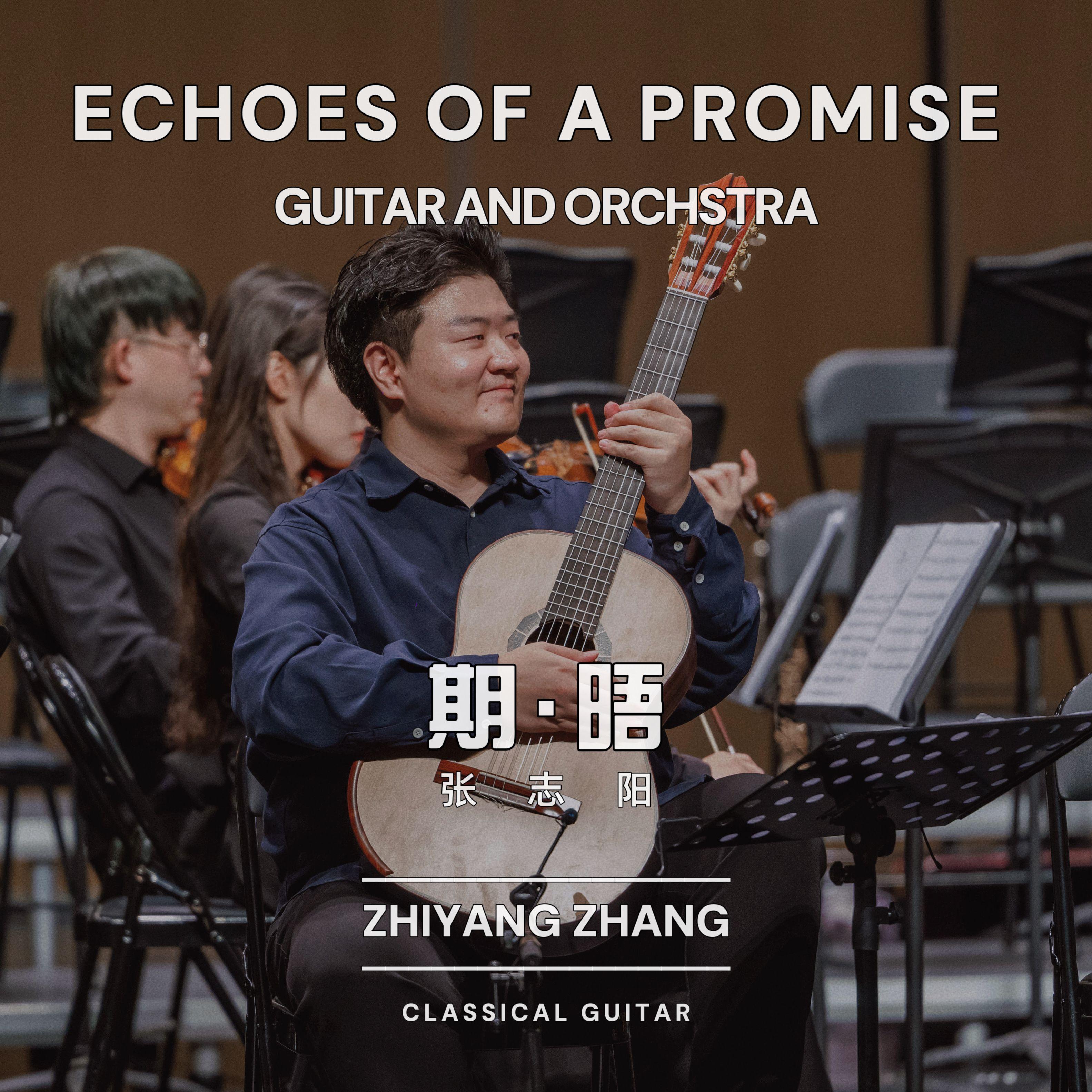 D大调鲁特琴协奏曲第三乐章