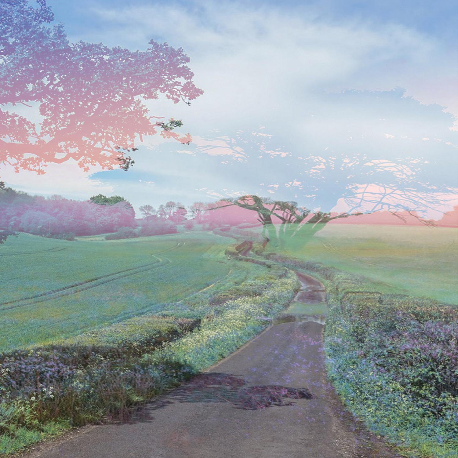Dream Yoga of the Vision Body