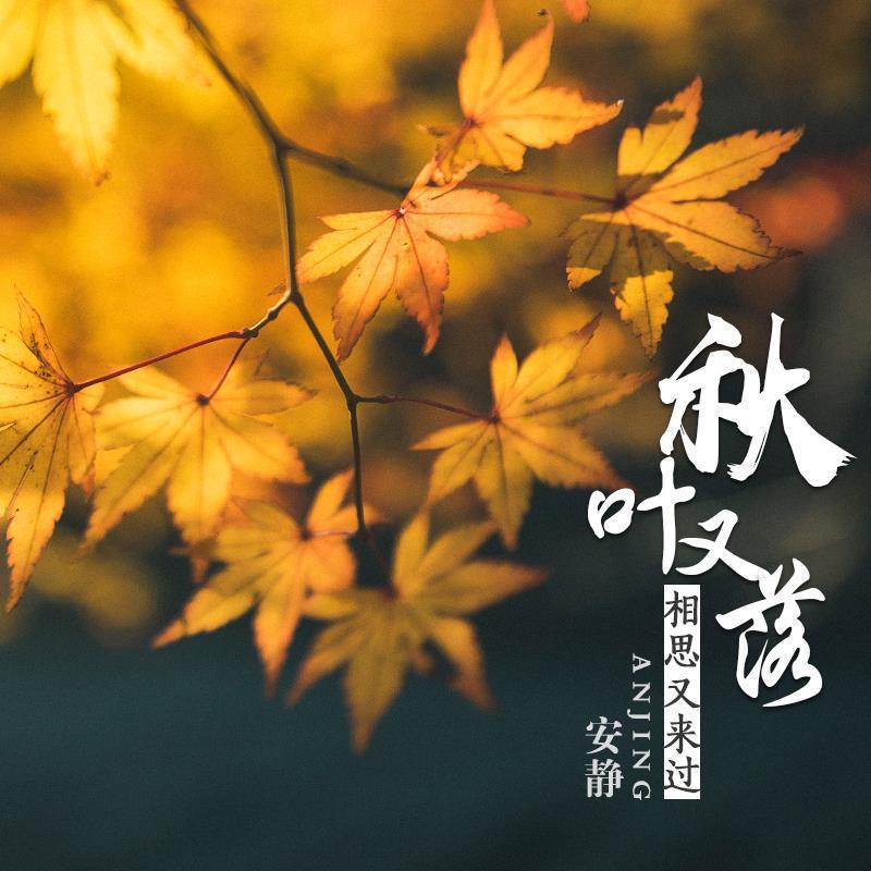 秋叶又落相思又来过 (DJheap九天版)