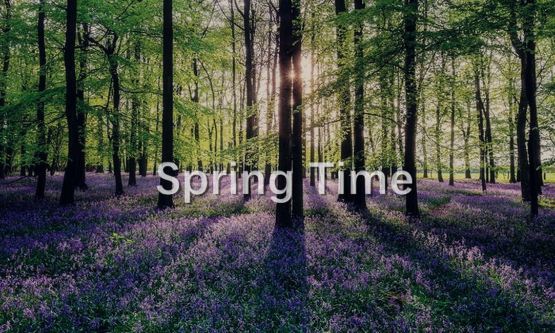 Spring Time专辑