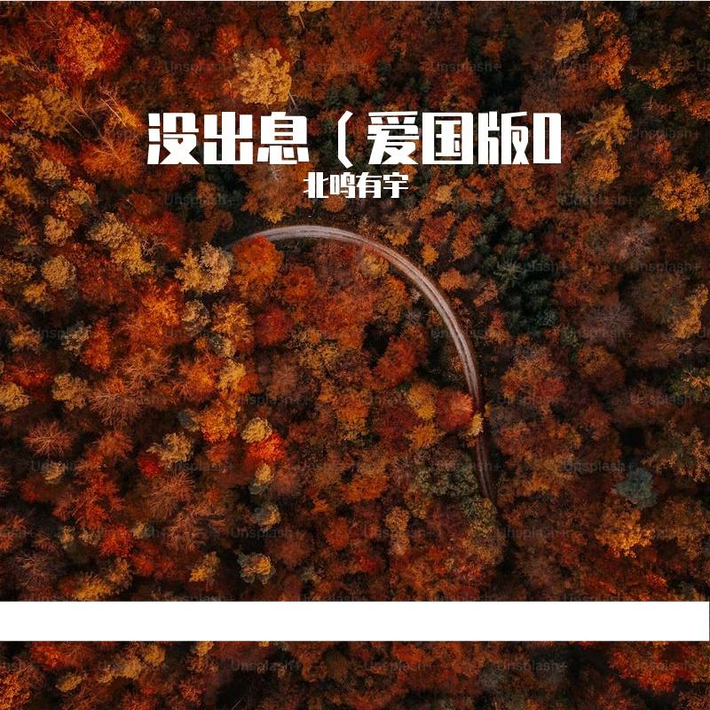 没出息（爱国版）