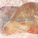 58 Therapy For Sleep专辑