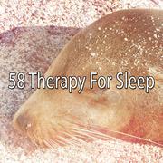 58 Therapy For Sleep